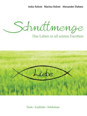 cover image of Schnittmenge Liebe